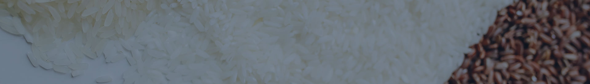 食品行業(yè)